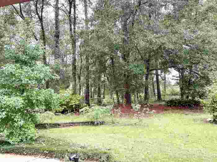 photo 39: 2140 Edenfield Road, TALLAHASSEE FL 32308