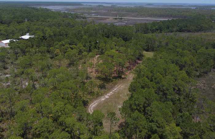 photo 6: Lots 20&21 Tarpine Drive, PANACEA FL 32346