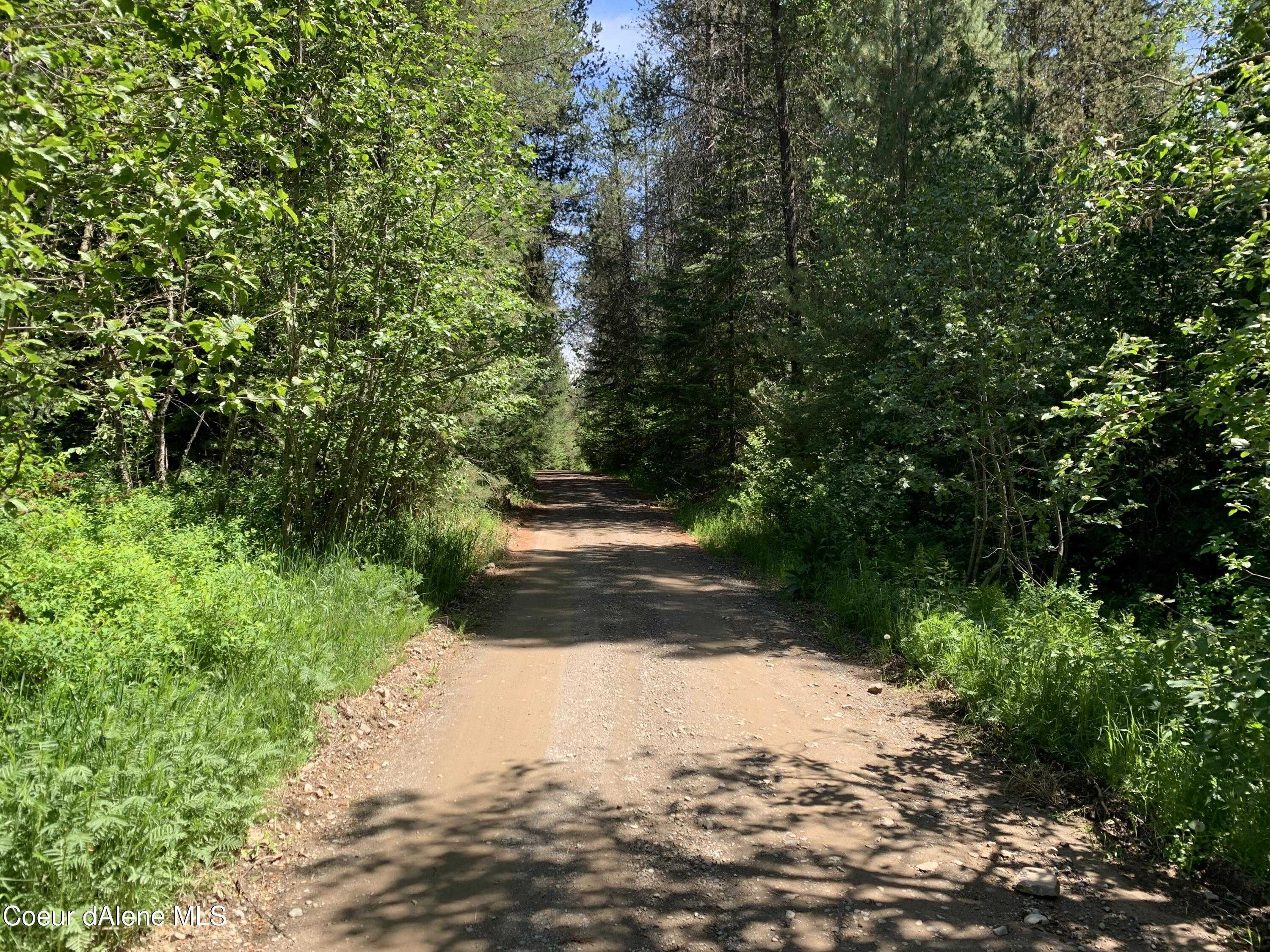 photo 2: NNA Pup Paw Trail, Priest River ID 83856