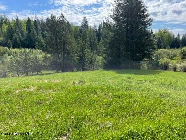 photo 3: 700 Shepherds Ln, Sandpoint ID 83864