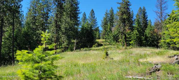 photo 17: NNA S Bobsled Trail, Coeur d'Alene ID 83814