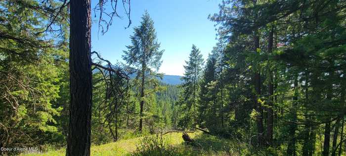 photo 2: NNA S Bobsled Trail, Coeur d'Alene ID 83814