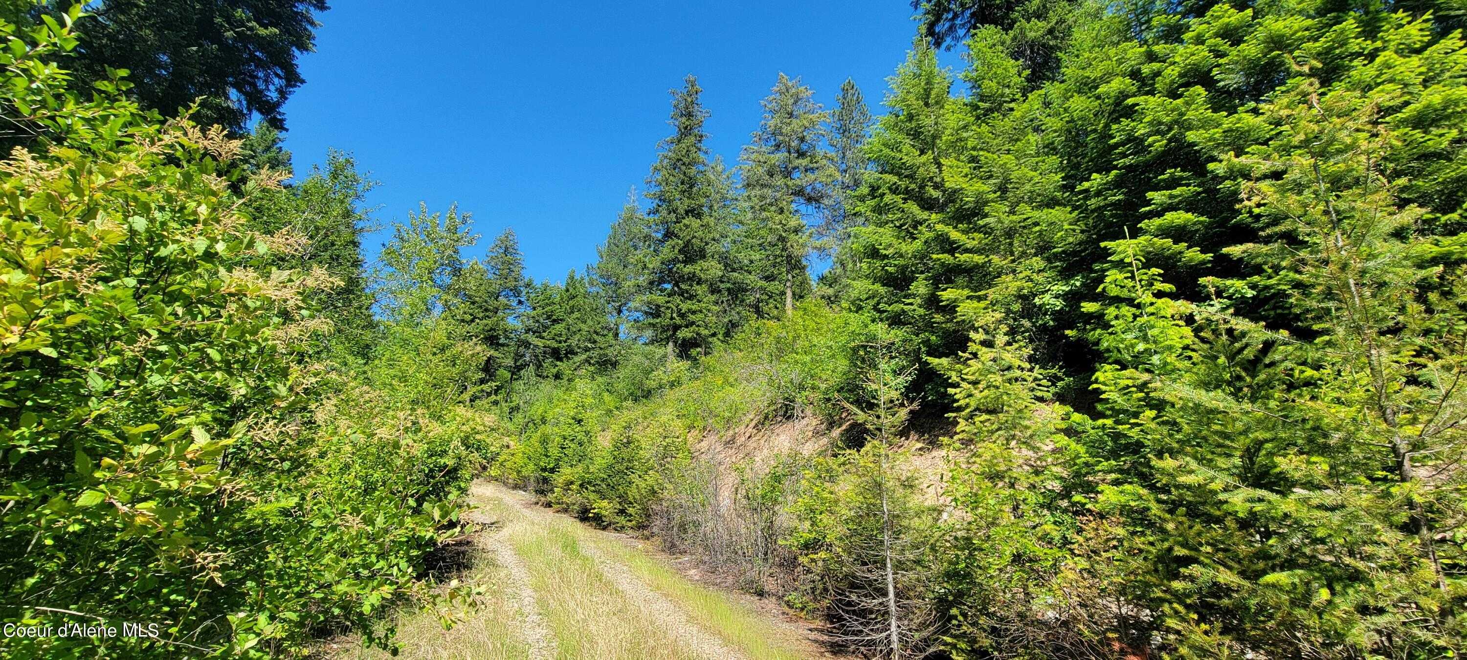 photo 3: NNA S Bobsled Trail, Coeur d'Alene ID 83814