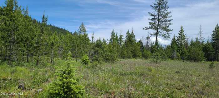 photo 1: NNA N Bodie Canyon, Tracts  2 & 3 Road, Priest River ID 83856