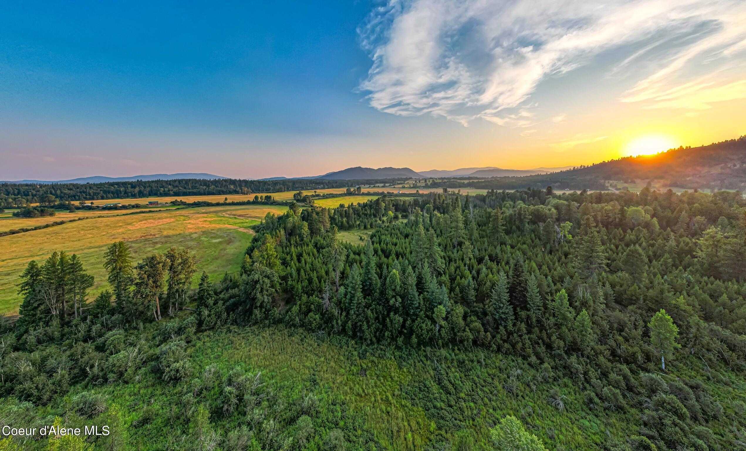 photo 3: NKA Peninsula Loop (159 acres), Priest River ID 83856