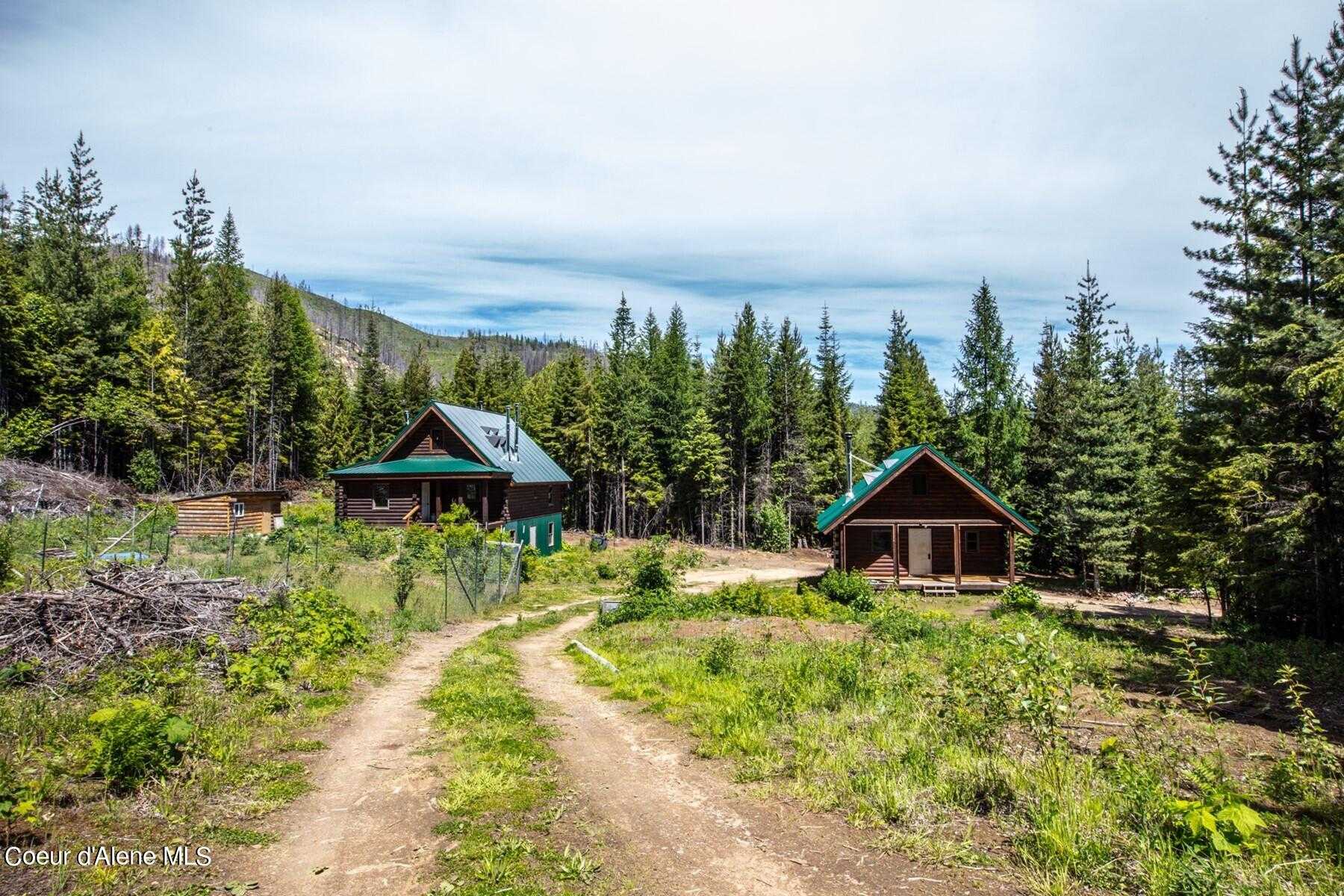 photo 3: 718 Slippery Slope Trail, Priest River ID 83856