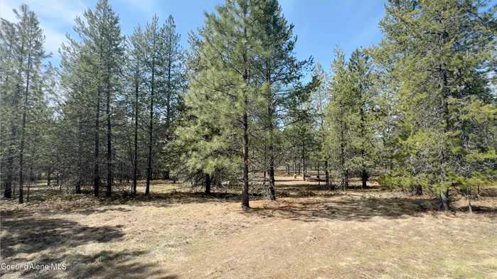 photo 7: NKA Lodgepole Ln, Moyie Springs ID 83845