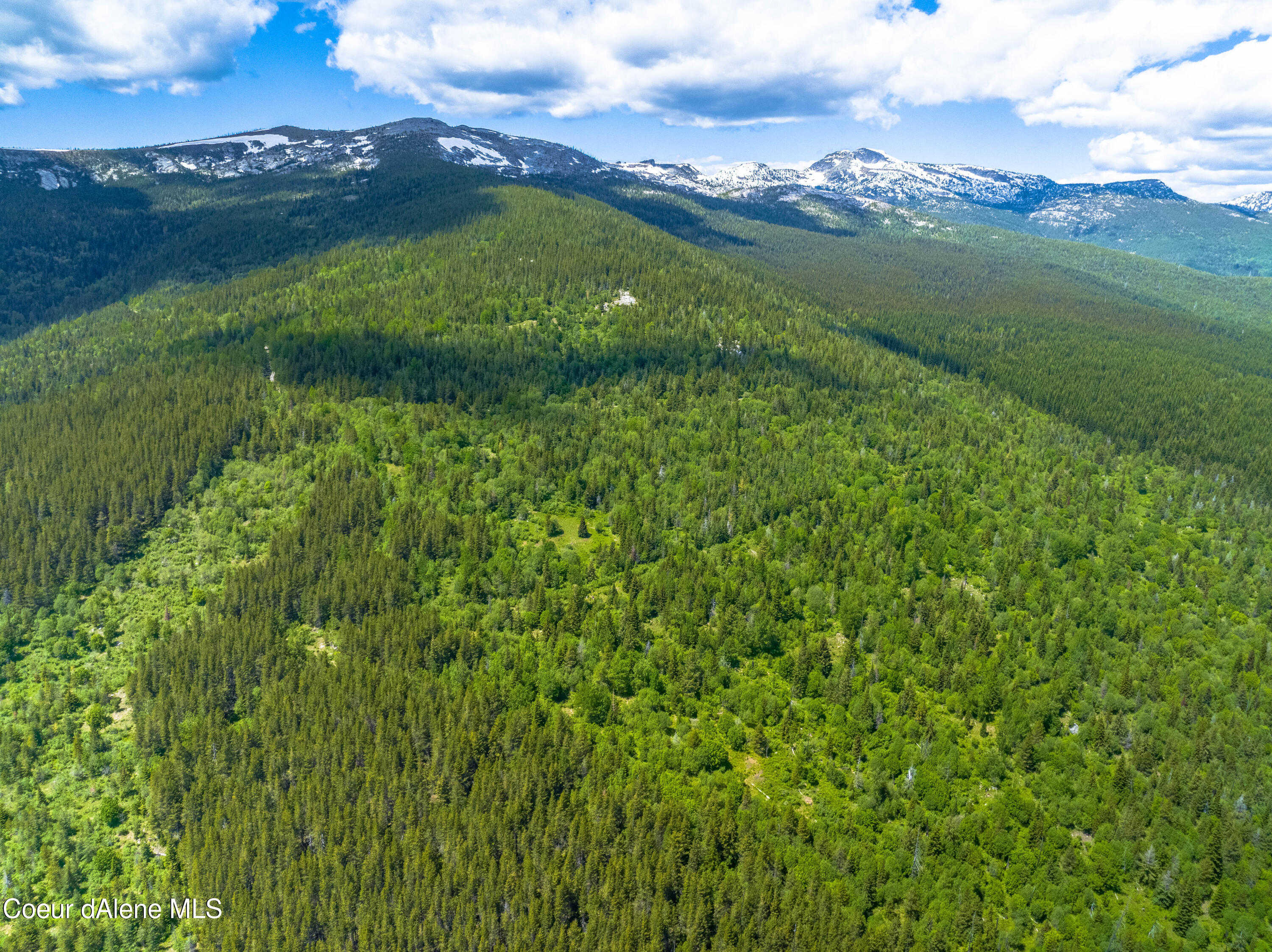 photo 2: NKA 160 acres Jeru Creek Rd 293, Sandpoint ID 83864