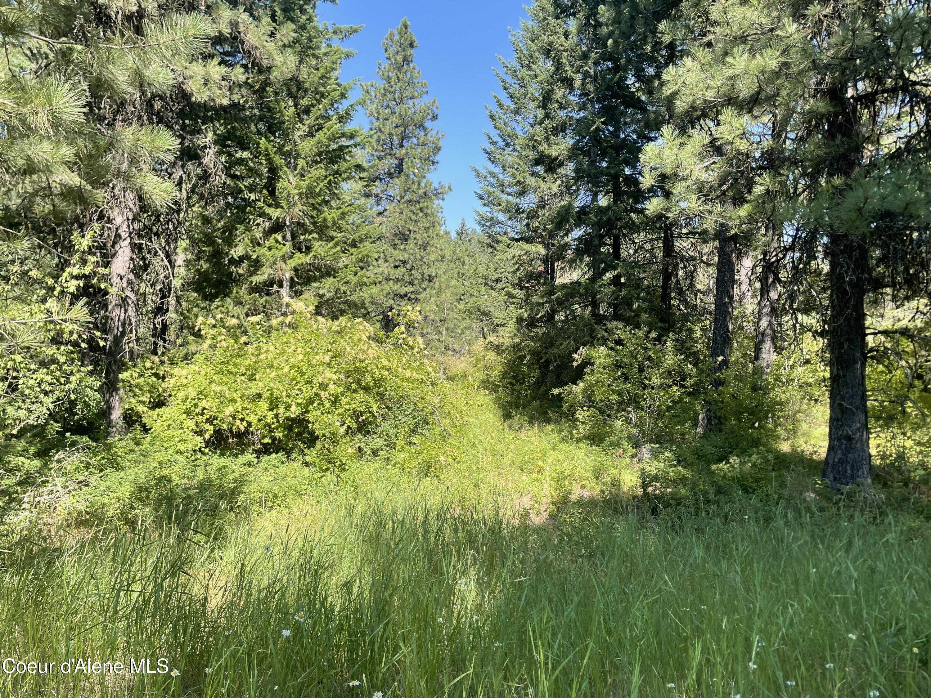 photo 1: Old Railroad Grade, Plummer ID 83851