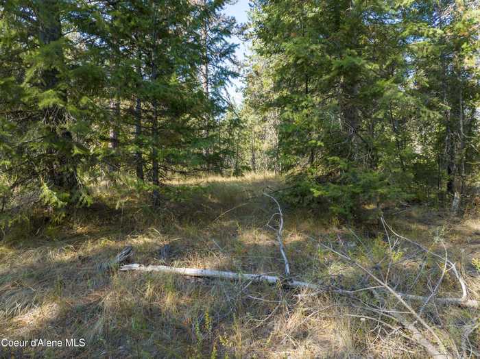 photo 9: Blk1 Lot3 Gray Eagle Rd, Rathdrum ID 83858