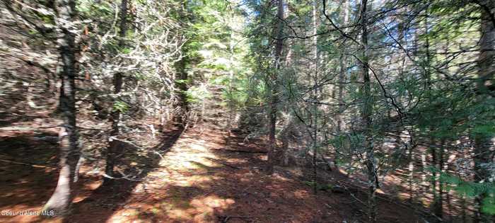 photo 15: NNA Curley Creek Rd, Moyie Springs ID 83845