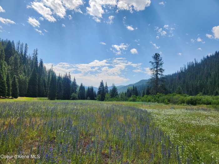 photo 29: NKA Beaver Creek Rd., Wallace ID 83873