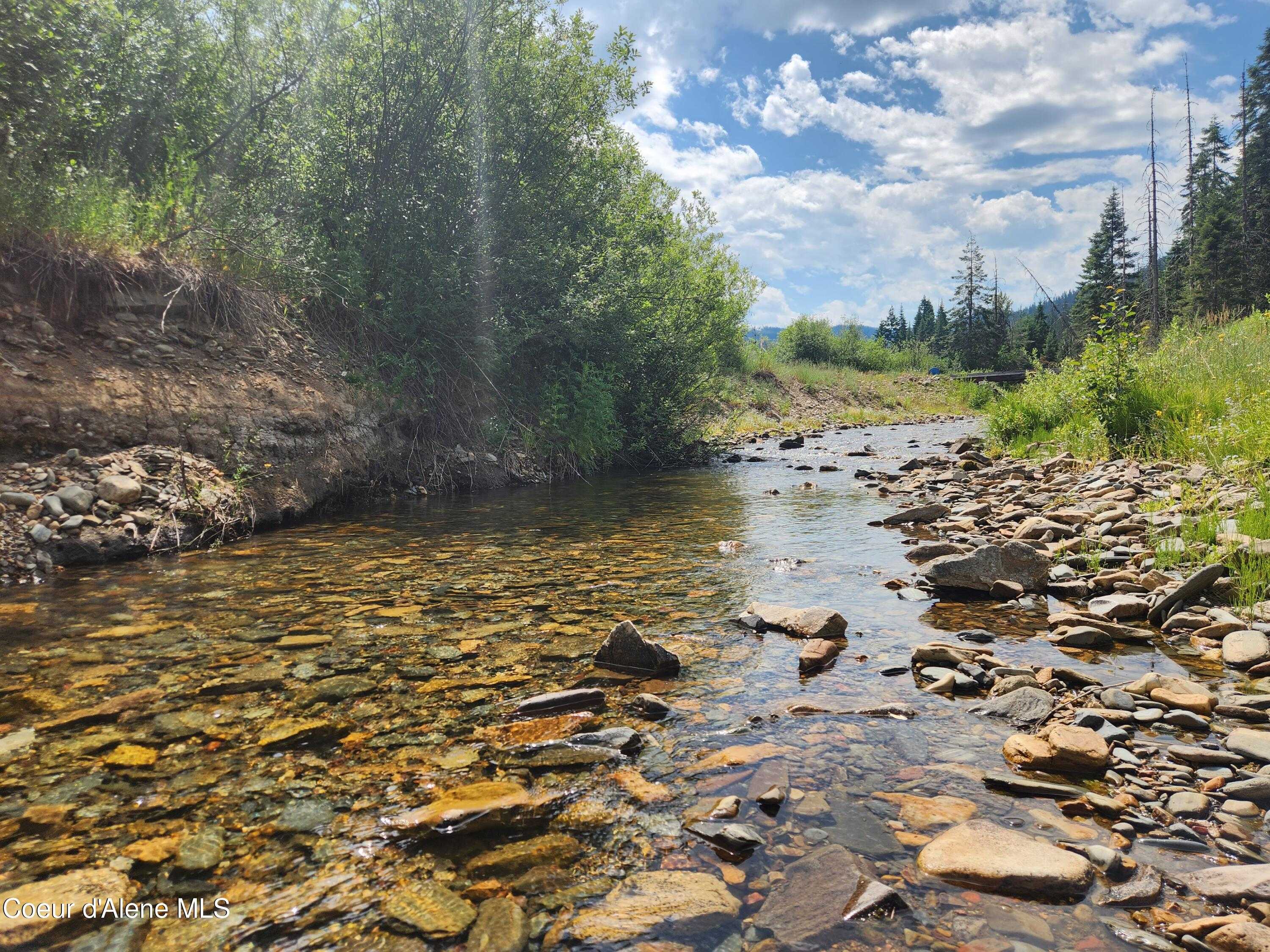 photo 3: NKA Beaver Creek Rd., Wallace ID 83873