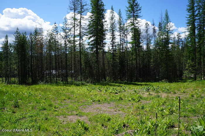 photo 22: NKA Meadowland Drive, Blanchard ID 83804