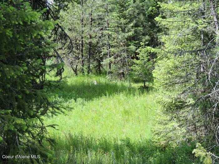 photo 1: NKA Antler Lane, Spirit Lake ID 83869