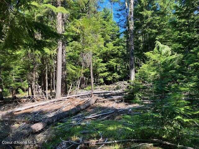 photo 1: NNA Toad Road  ( 5acres), Priest River ID 83856