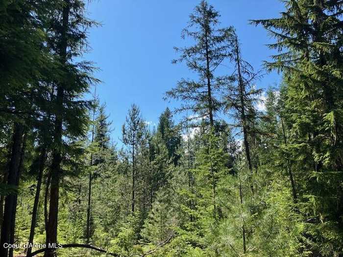 photo 20: NNA Toad Road  ( 5acres), Priest River ID 83856