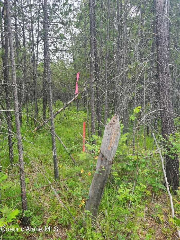 photo 2: NKA Moose Creek Rd, Priest River ID 83856