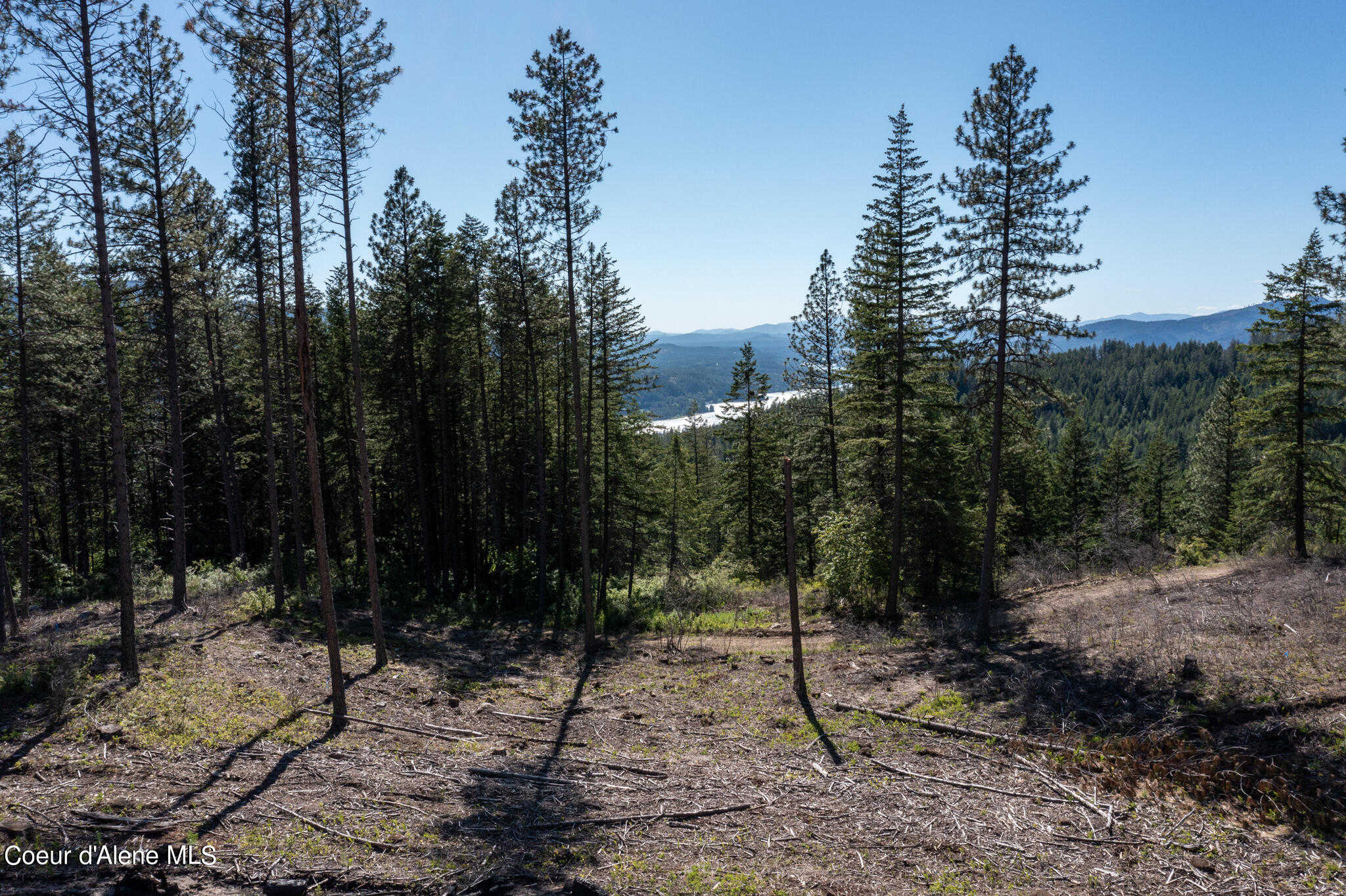 photo 1: Parcel 1 Gold Cup Rd, Priest River ID 83856