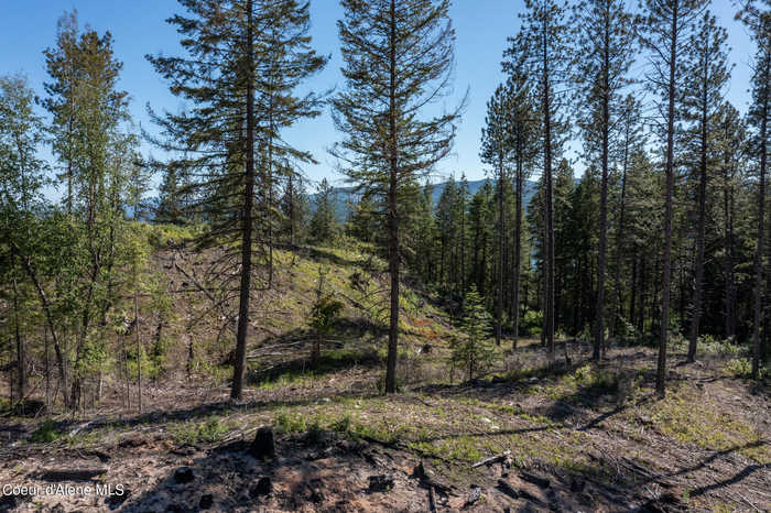 photo 2: Parcel 1 Gold Cup Rd, Priest River ID 83856