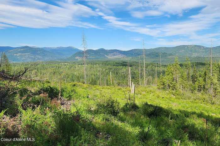 photo 2: NNA USFS 984, Priest River ID 83856