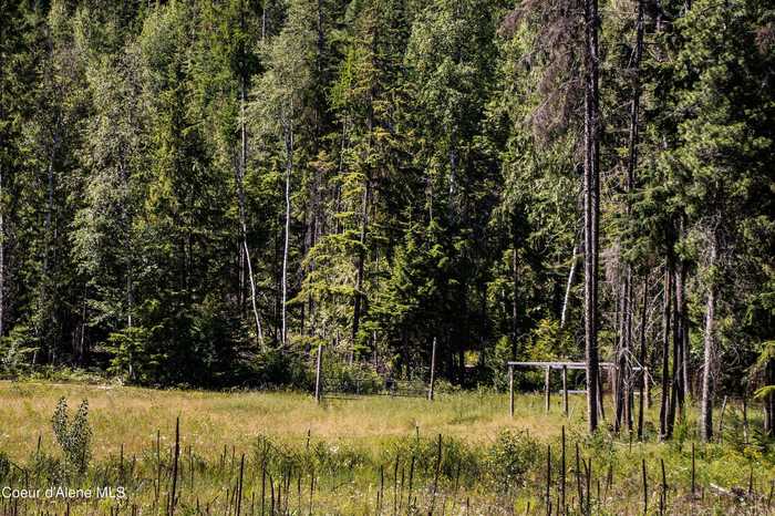 photo 17: NNA Slippery Slope Trail, Priest River ID 83856