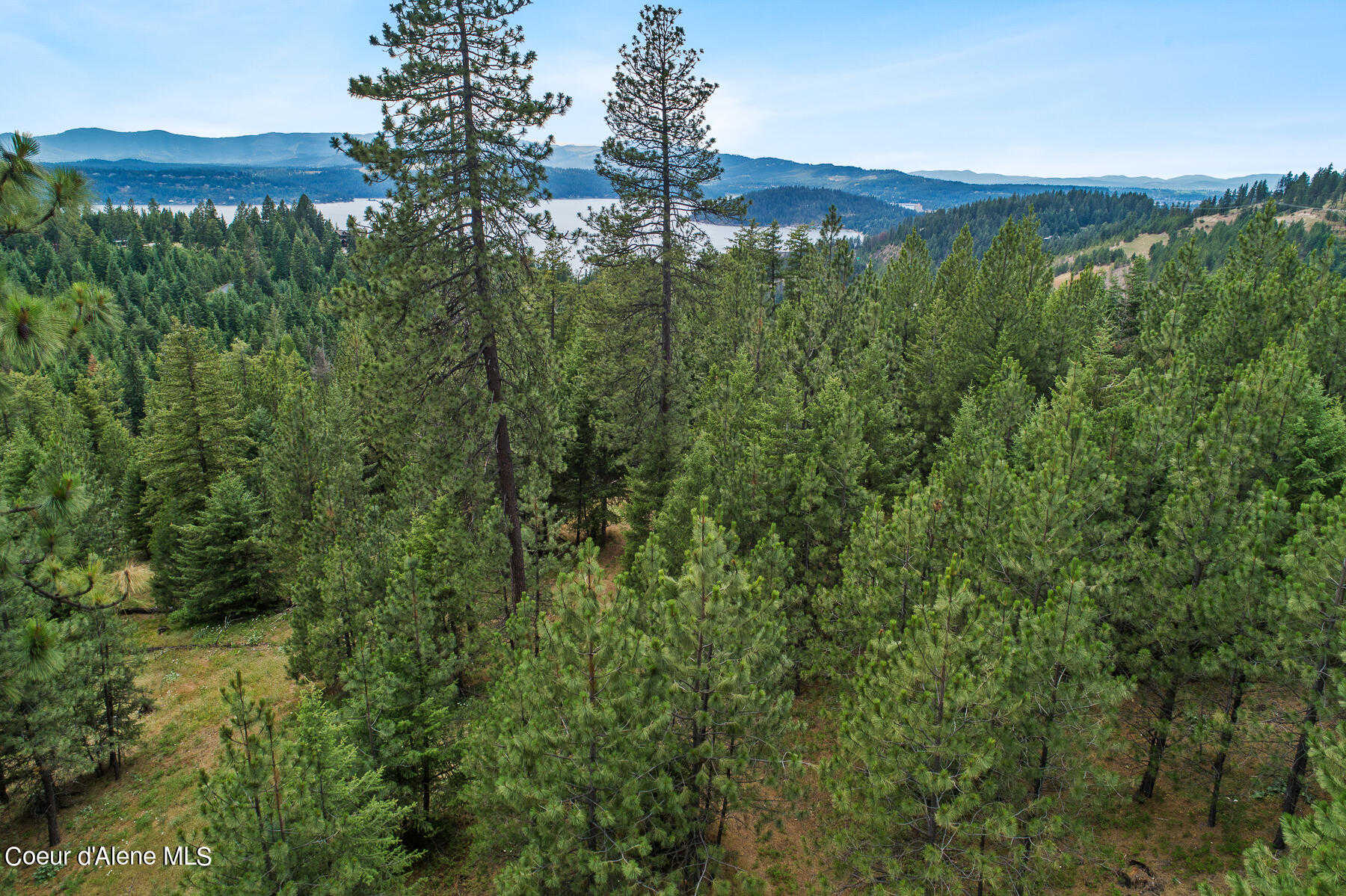 photo 2: S Grouse Meadow Dr, Coeur d'Alene ID 83814