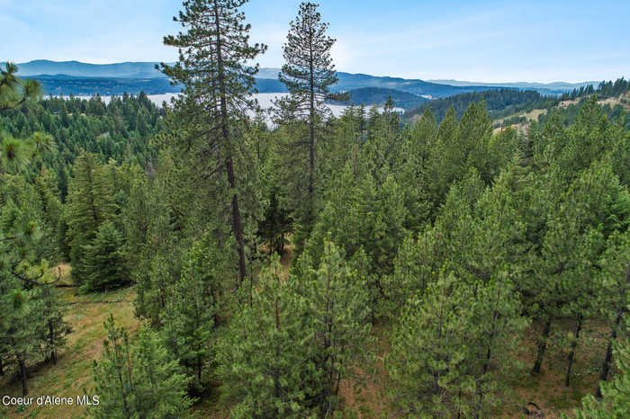 photo 2: S Grouse Meadow Dr, Coeur d'Alene ID 83814