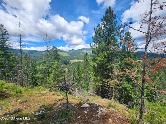 photo 1: 40 Acres W Cougar Gulch Rd, Coeur d'Alene ID 83814