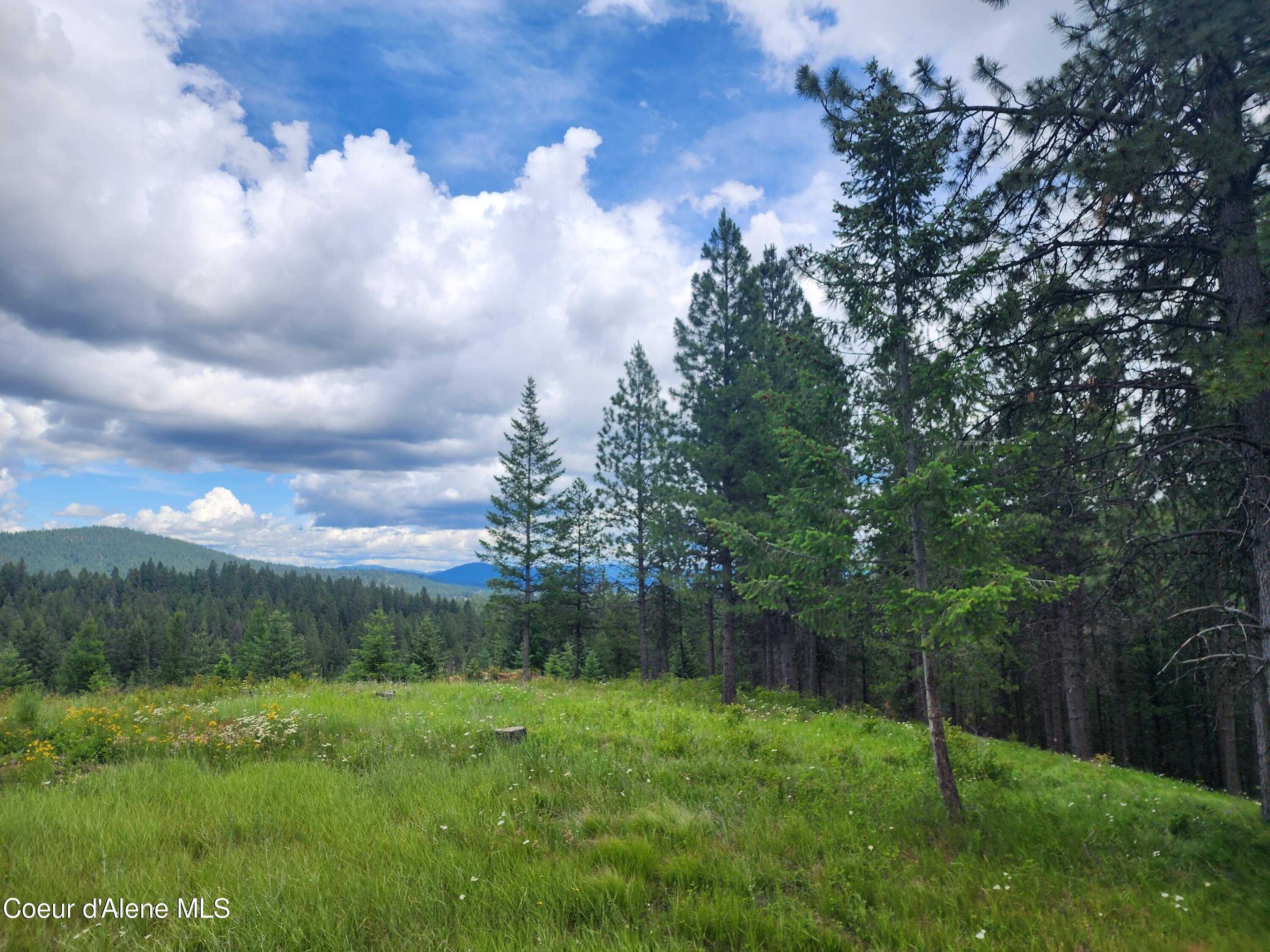 photo 2: 40 Acres W Cougar Gulch Rd, Coeur d'Alene ID 83814