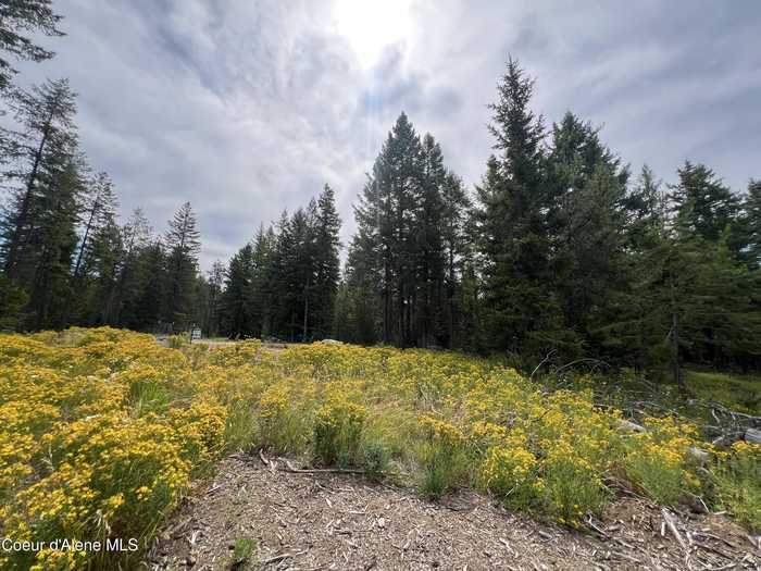 photo 7: High Meadow Dr, Priest River ID 83856