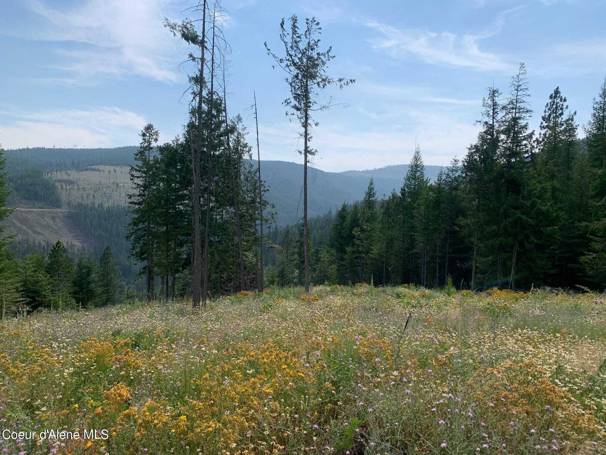 photo 2: NKA Mystery Moose Lane, Priest River ID 83856