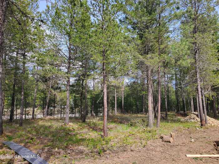 photo 16: Lot 9 Connie Place, Moyie Springs ID 83845