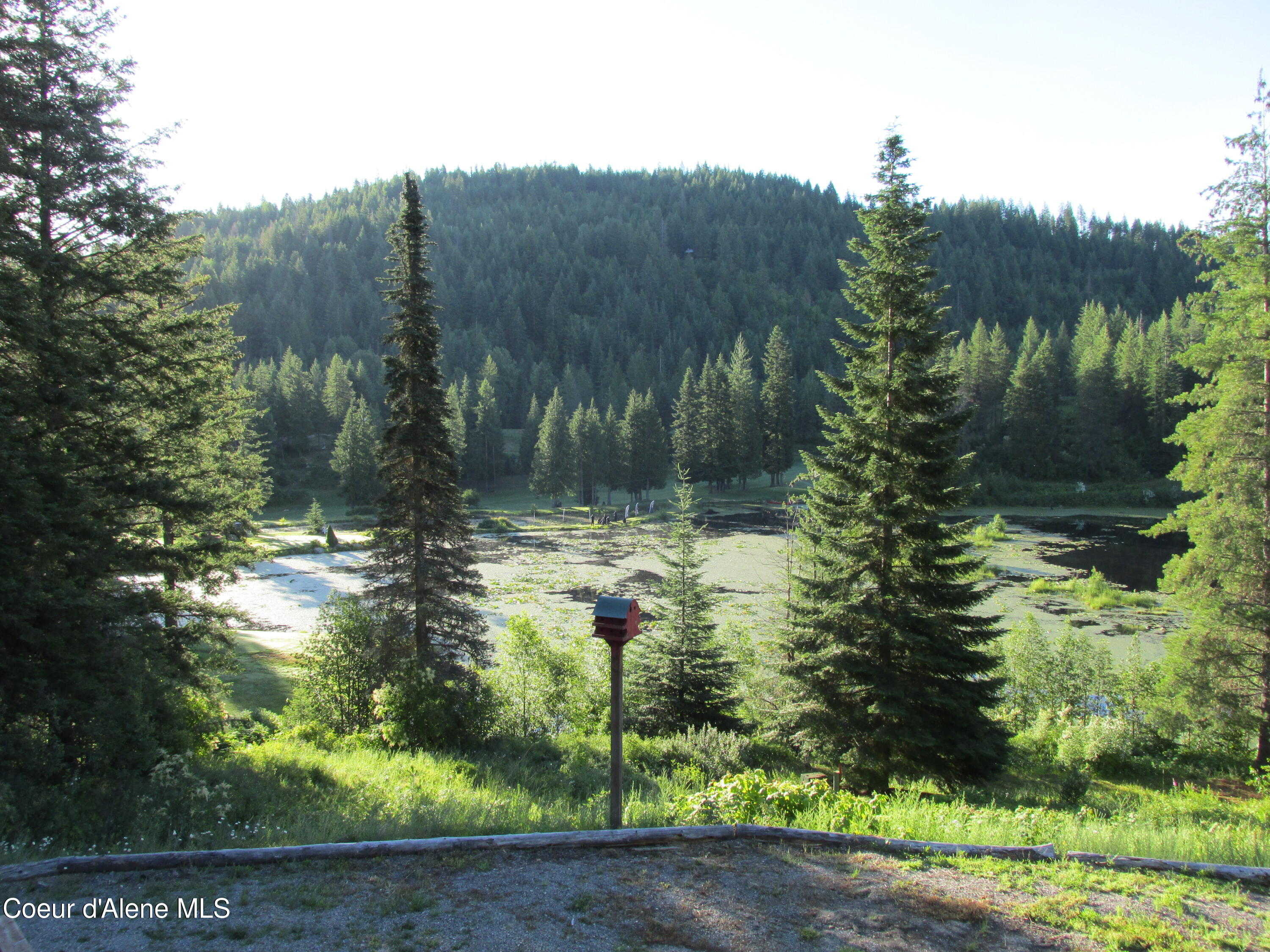 photo 2: 1959 Thimbleberry Ln, Sandpoint ID 83864