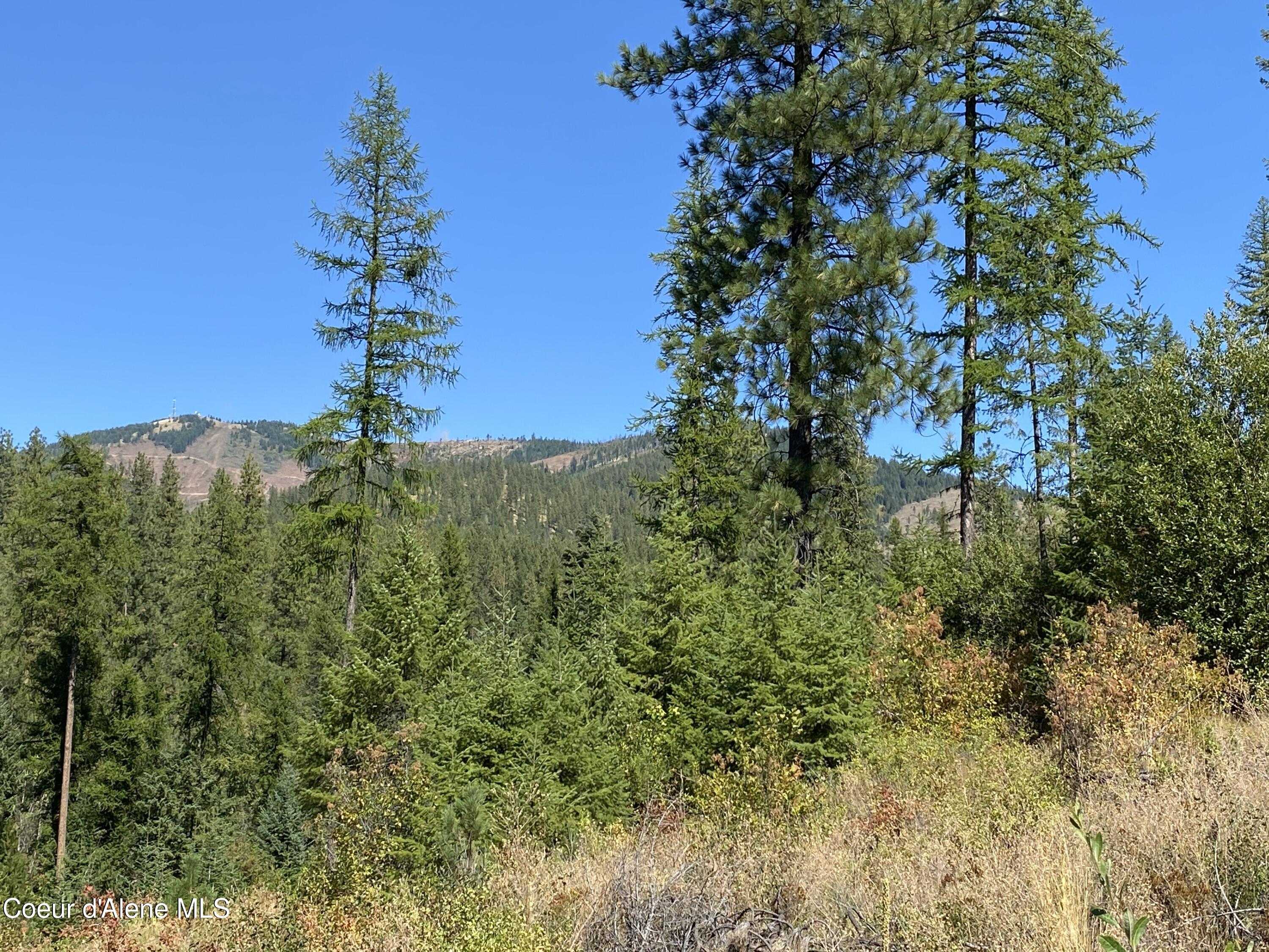 photo 3: NNA Stone Rd Lot 2, Blanchard ID 83804