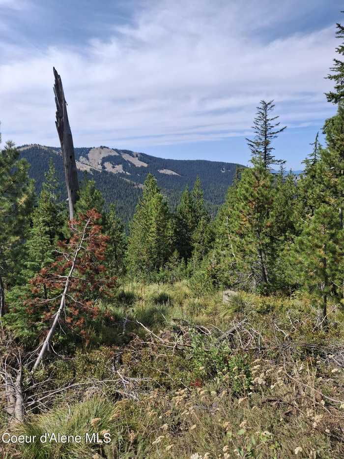 photo 2: NKA Eagle Mining District, Murray ID 83874