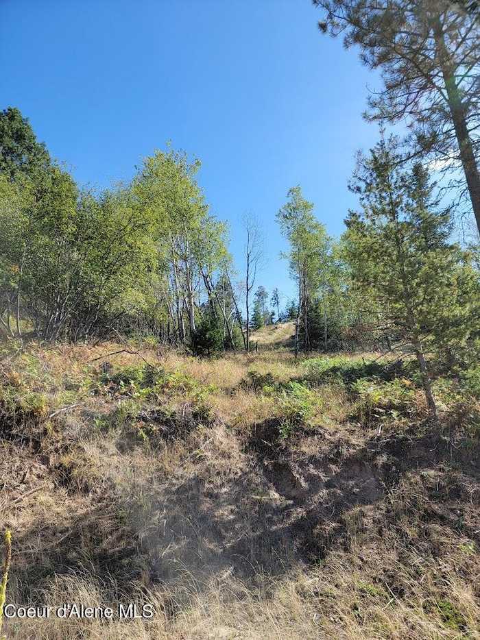 photo 12: Lot B Blue Star Lane, Pinehurst ID 83850