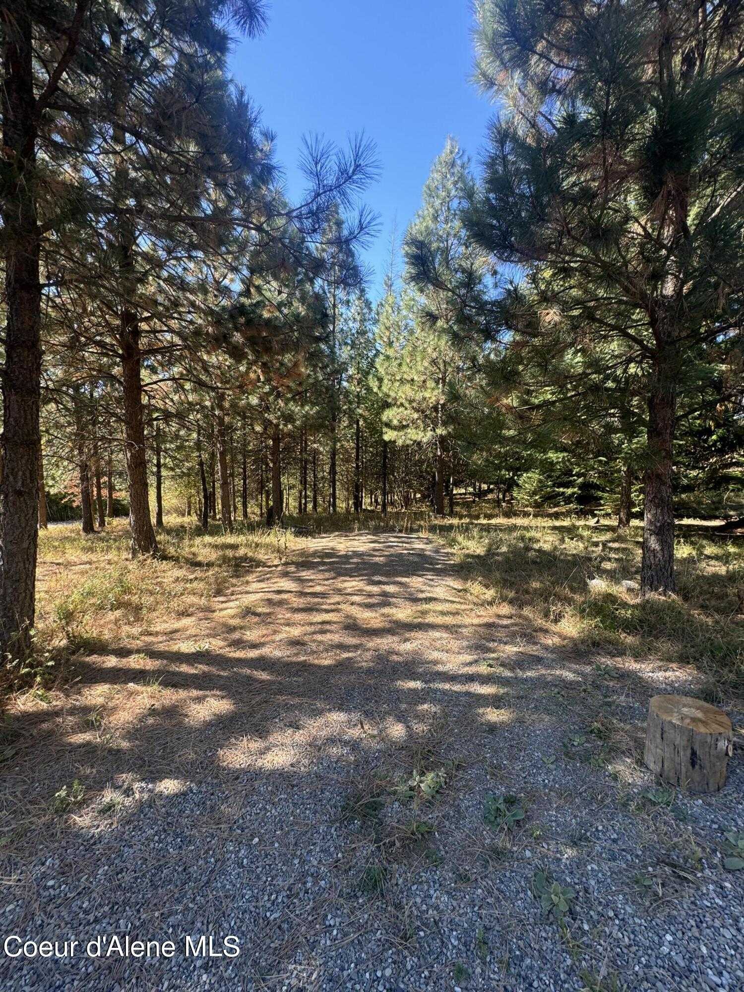 photo 1: 8569 Challenge Road, Hayden ID 83835