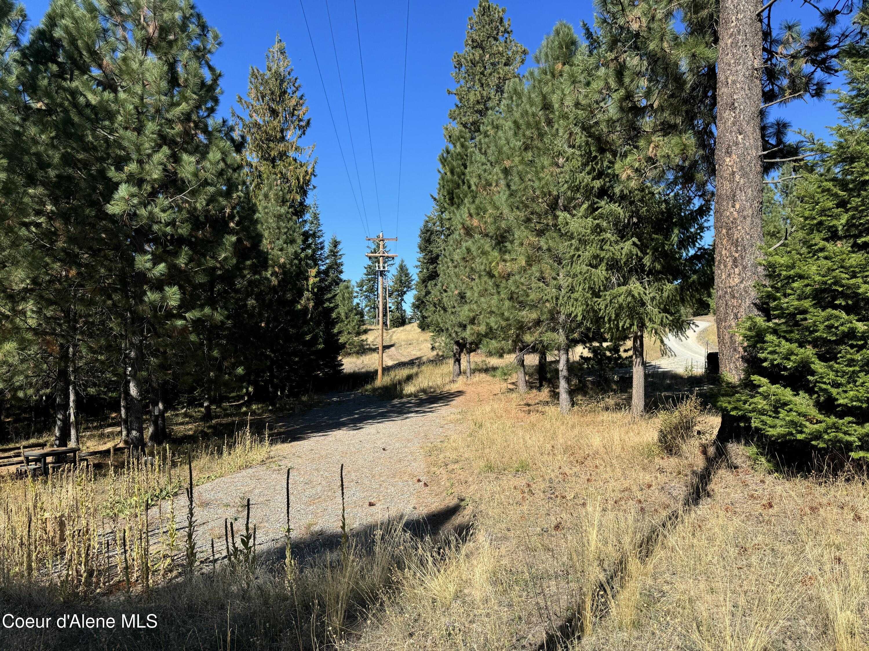 photo 2: 8569 Challenge Road, Hayden ID 83835