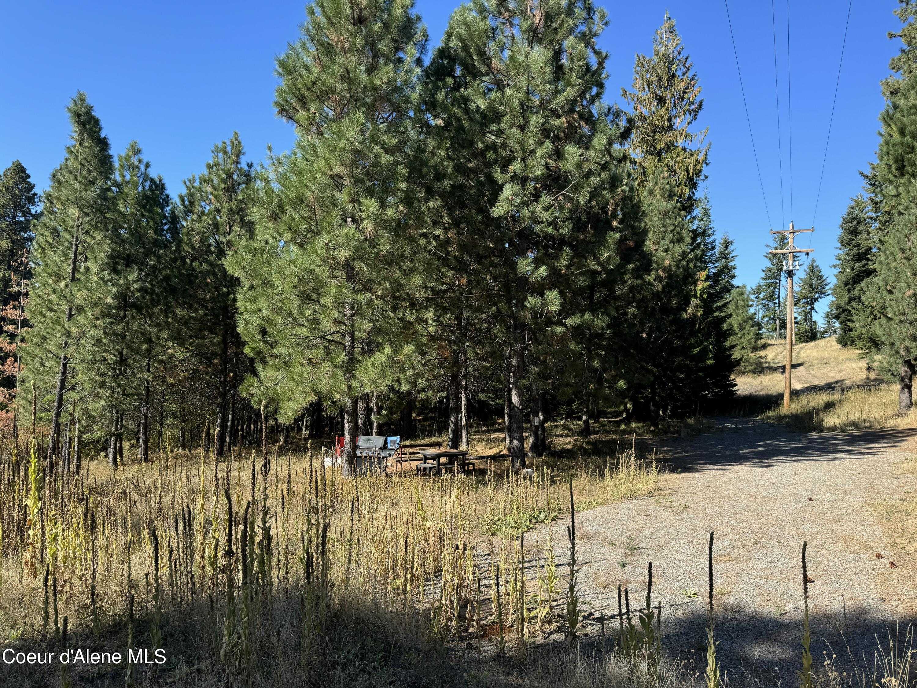 photo 3: 8569 Challenge Road, Hayden ID 83835