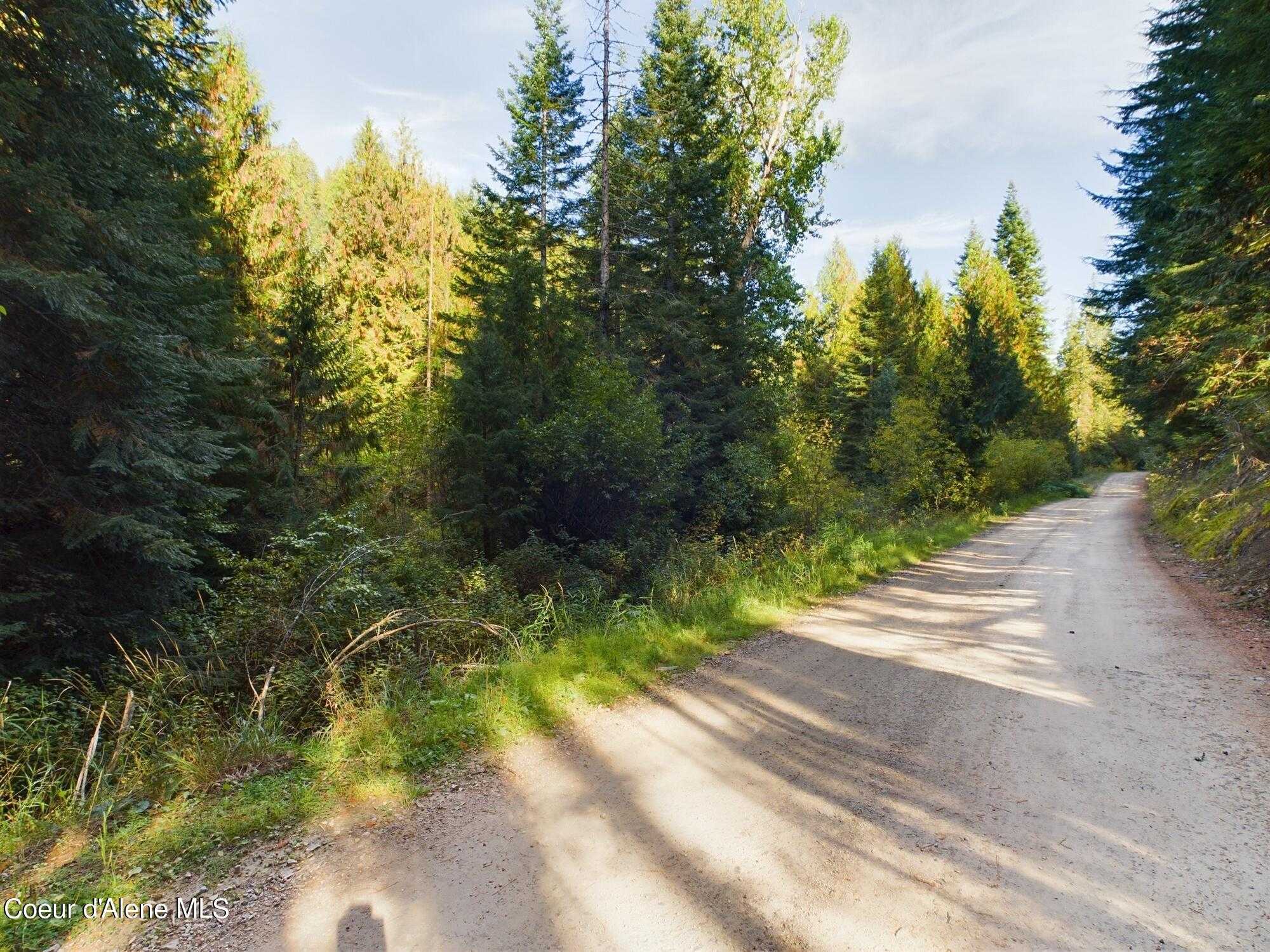 photo 3: Lot 1 Bear Creek Rd, Kingston ID 83839