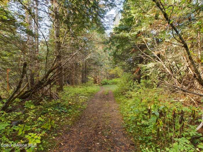 photo 8: Lot 1 Bear Creek Rd, Kingston ID 83839