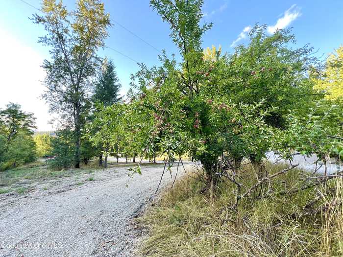 photo 2: Lot 3 Back St, Smelterville ID 83868