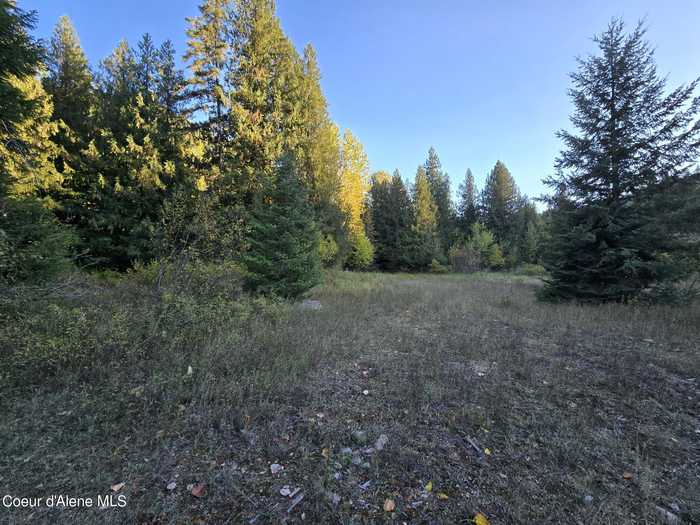 photo 2: 3008 W Fork Pine Creek, Pinehurst ID 83850