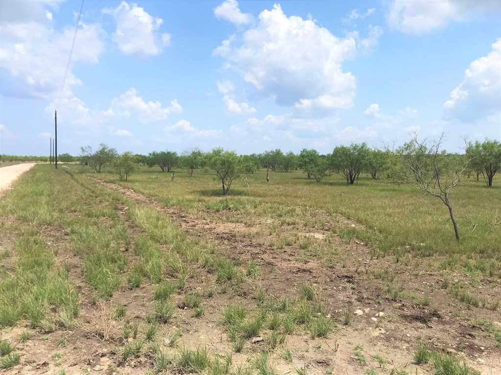 photo 2: Cave Wells Rd, Menard TX 76859