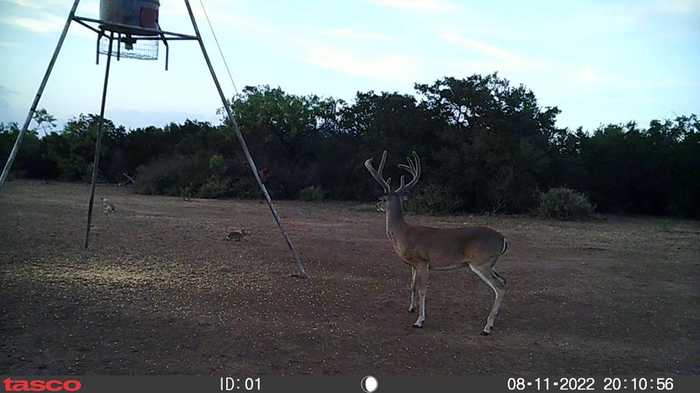 photo 25: Jack Rabbit Rd, Doss TX 78618