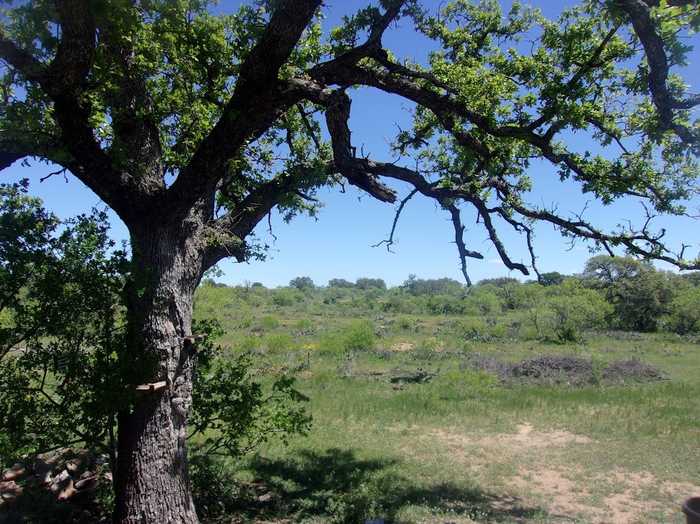 photo 7: Kothman Rd, Mason TX 76856