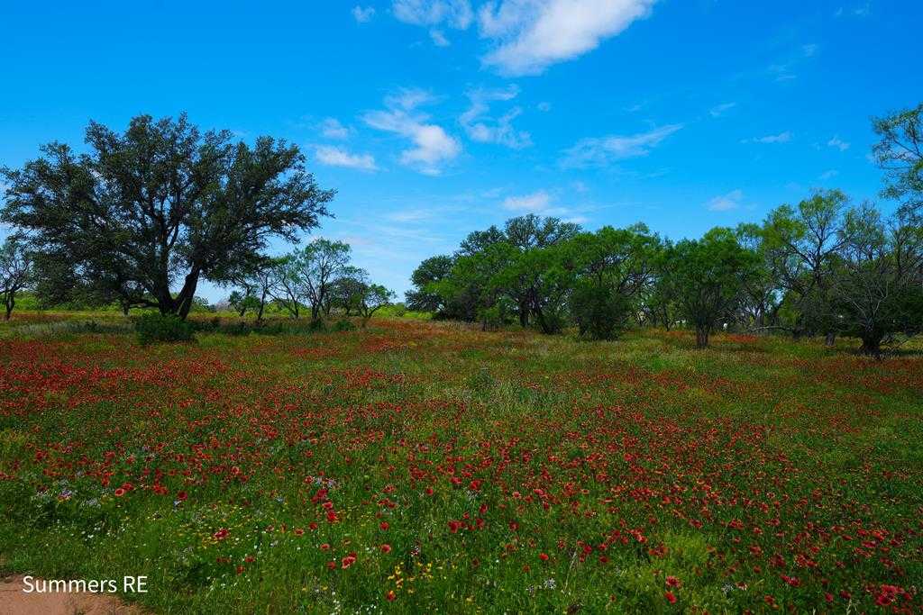 photo 3: Old Pontotoc Rd, Mason TX 76856