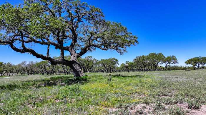 photo 1: Hwy 83, Menard TX 76859