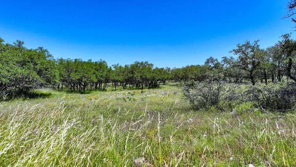 photo 2: Ranch Rd 2291, Menard TX 76859